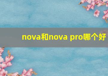 nova和nova pro哪个好